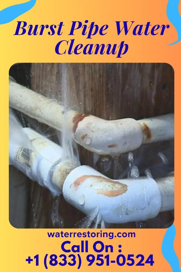 Burst Pipe Water Cleanup in Lerna, IL