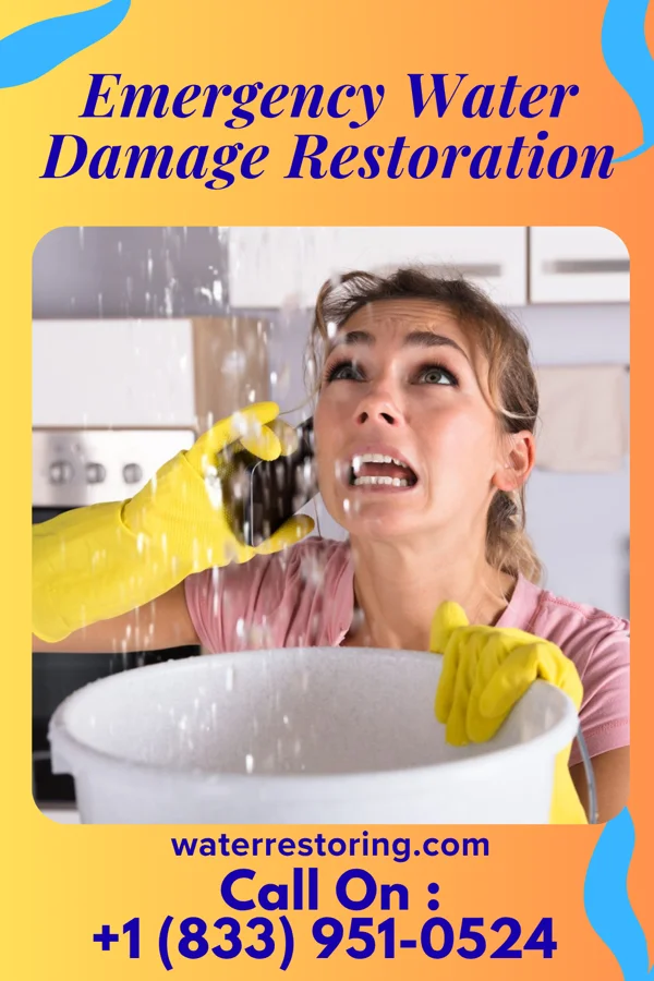 Emergency Water Damage Restoration in Lerna, IL