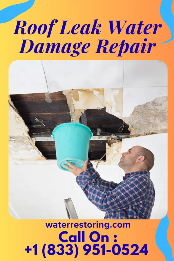 Roof Leak Water Damage Repair in Lerna, IL