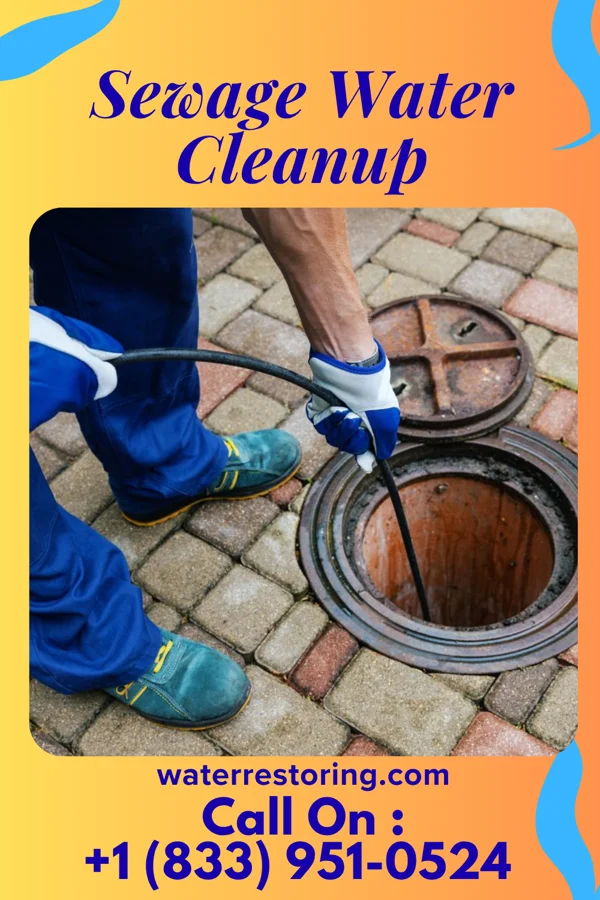 Sewage Water Cleanup in Lerna, IL